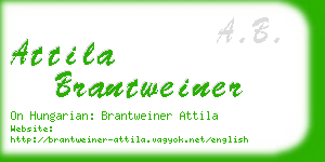 attila brantweiner business card